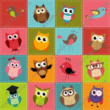 Renkli Patchwork Zemin Üzerine Kuşlar Ve Baykuşlar Desenli Dijital Baskılı Kumaş