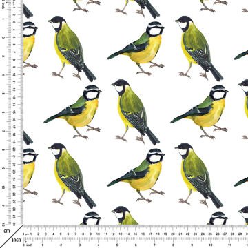 Sarı, Yeşil Tomtit Kuşu