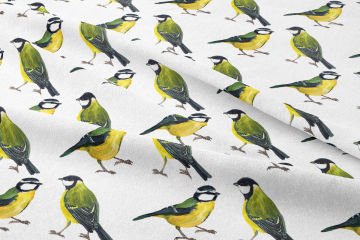 Sarı, Yeşil Tomtit Kuşu