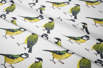 Sarı, Yeşil Tomtit Kuşu