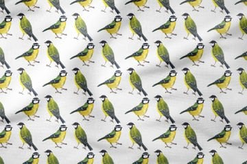 Желто-зеленая синица