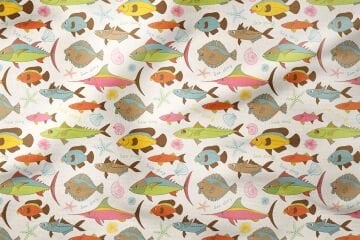 Kılıçbalığı, Balon Balığı, Midye ve Yıldızlar