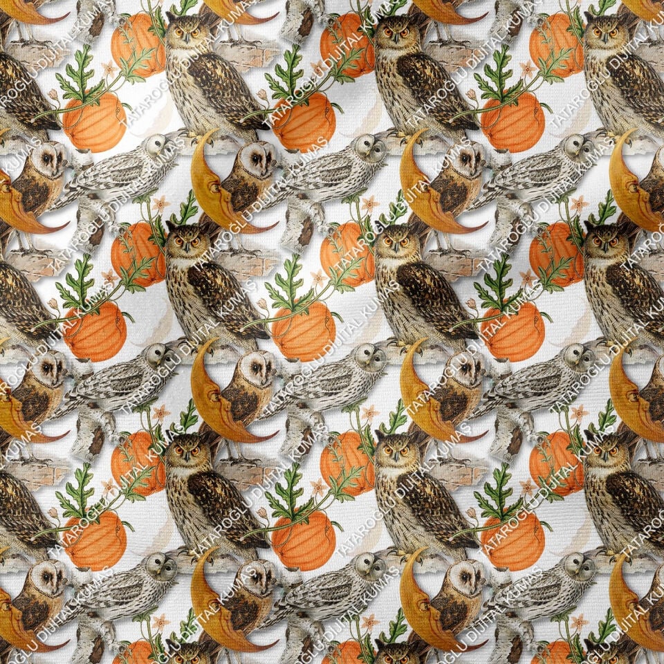 Happy Halloween Bal Kabakları Arasında Baykuş Desenli Tasarım Dijital Baskılı Kumaş