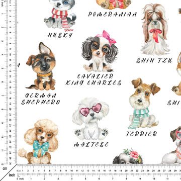 Sevimli Gözlük,Papyon,Atkı,Kurdele Takmış Köpekler