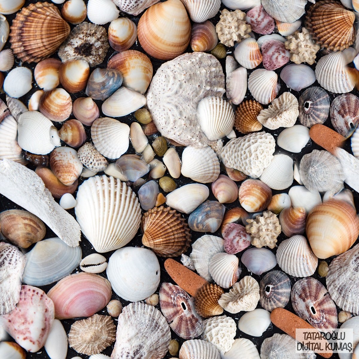 Deniz Kabuğu Desenli Kumaş Doğal Deniz Kabukları Desenli, Sahil Temalı Kumaş, Coastal Dekor Kumaşı, Yazlık Kumaş, Metre ile Kumaş