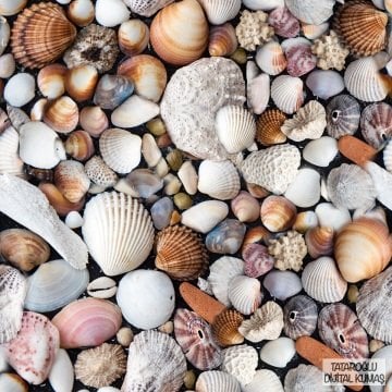 Deniz Kabuğu Desenli Kumaş Doğal Deniz Kabukları Desenli, Sahil Temalı Kumaş, Coastal Dekor Kumaşı, Yazlık Kumaş, Metre ile Kumaş