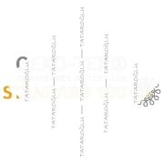 Lucky Yonca 45x45 2’li Kırlent Paneli | St. Patrick Desenli Polyester Kumaş