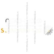 Lucky Lucky Lucky 45x45 2’li Kırlent Paneli | St. Patrick Renkli Polyester Kumaş