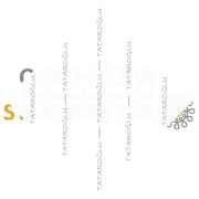 Lucky Gold 45x45 2’li Kırlent Paneli | St. Patrick Şans Temalı Polyester Kumaş