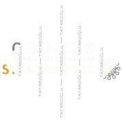 St. Patrick Lucky Tavuklar 45x45 2’li Kırlent Paneli | Dekoratif Polyester Kumaş