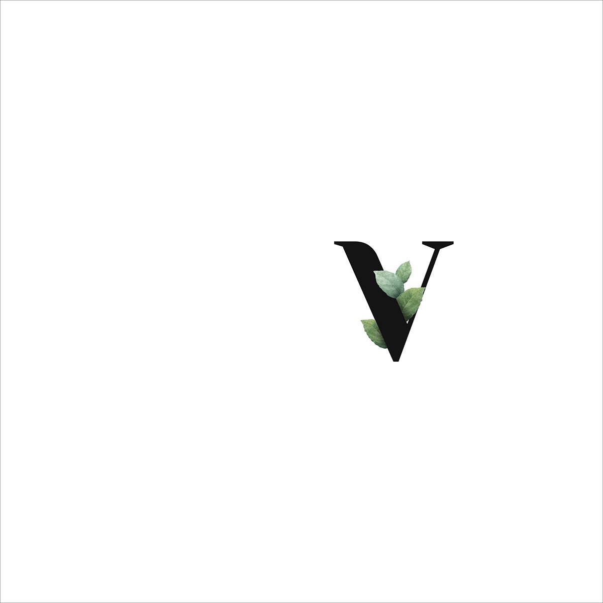 V Harfi Servis Suplası