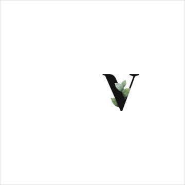 V Harfi Servis Suplası