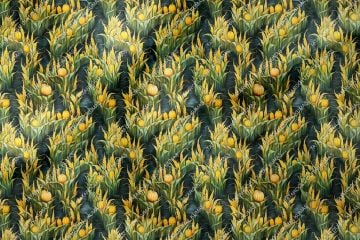 3D Pumpkins Among Autumn Grass Decorative Digital Printing Fabric