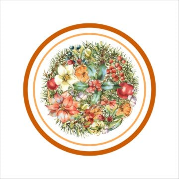 Kurumuş Dallı Meyveli Servis Suplası - Supla 3'lü Set