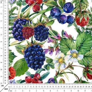 Fabric with Fruits on a Branch on a White Background (FALL SALE)