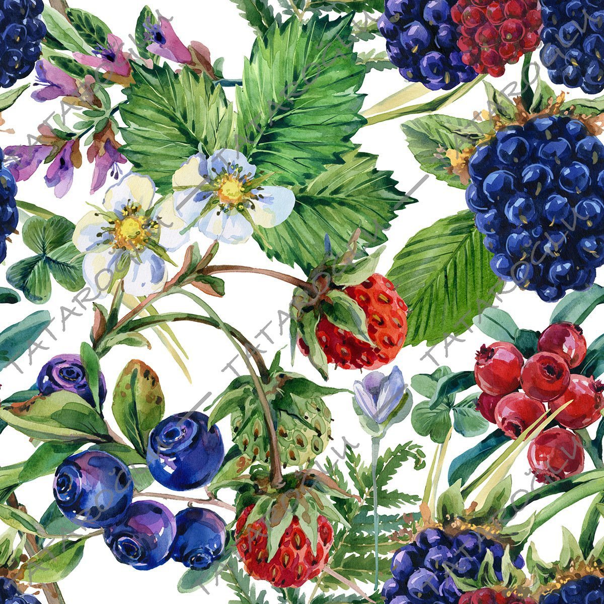 Fabric with Fruits on a Branch on a White Background (FALL SALE)