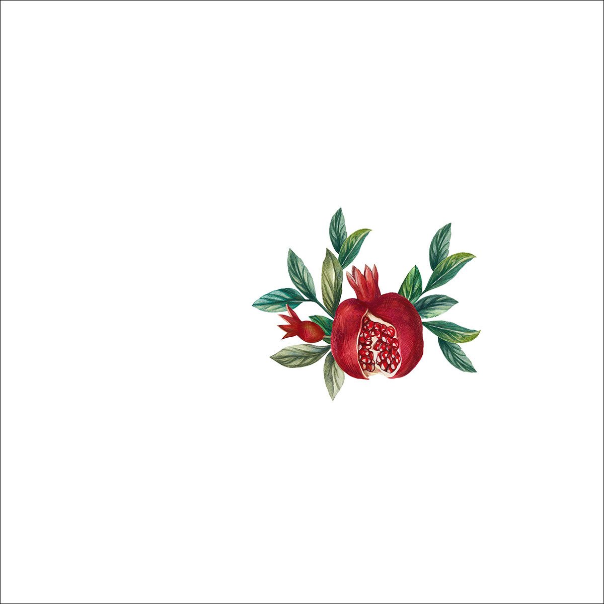 Yapraklı Narlı Kahve Suplası