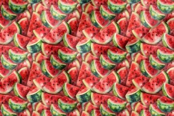 Karpuz Desenli Dijital Baskılı Dekoratif Polyester Kumaş