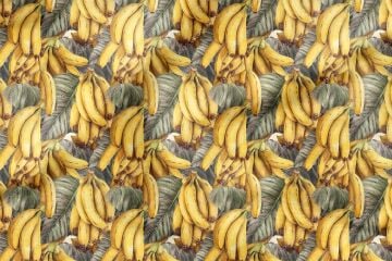 Tropical Banana Pattern Digital Printed Decorative Polyester Fabric