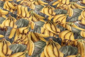 Tropical Banana Pattern Digital Printed Decorative Polyester Fabric