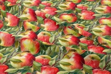 Elma Desenli Dijital Baskılı Dekoratif Polyester Kumaş