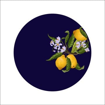 Lacivert Limon Servis Suplası- Supla 3'lü Set
