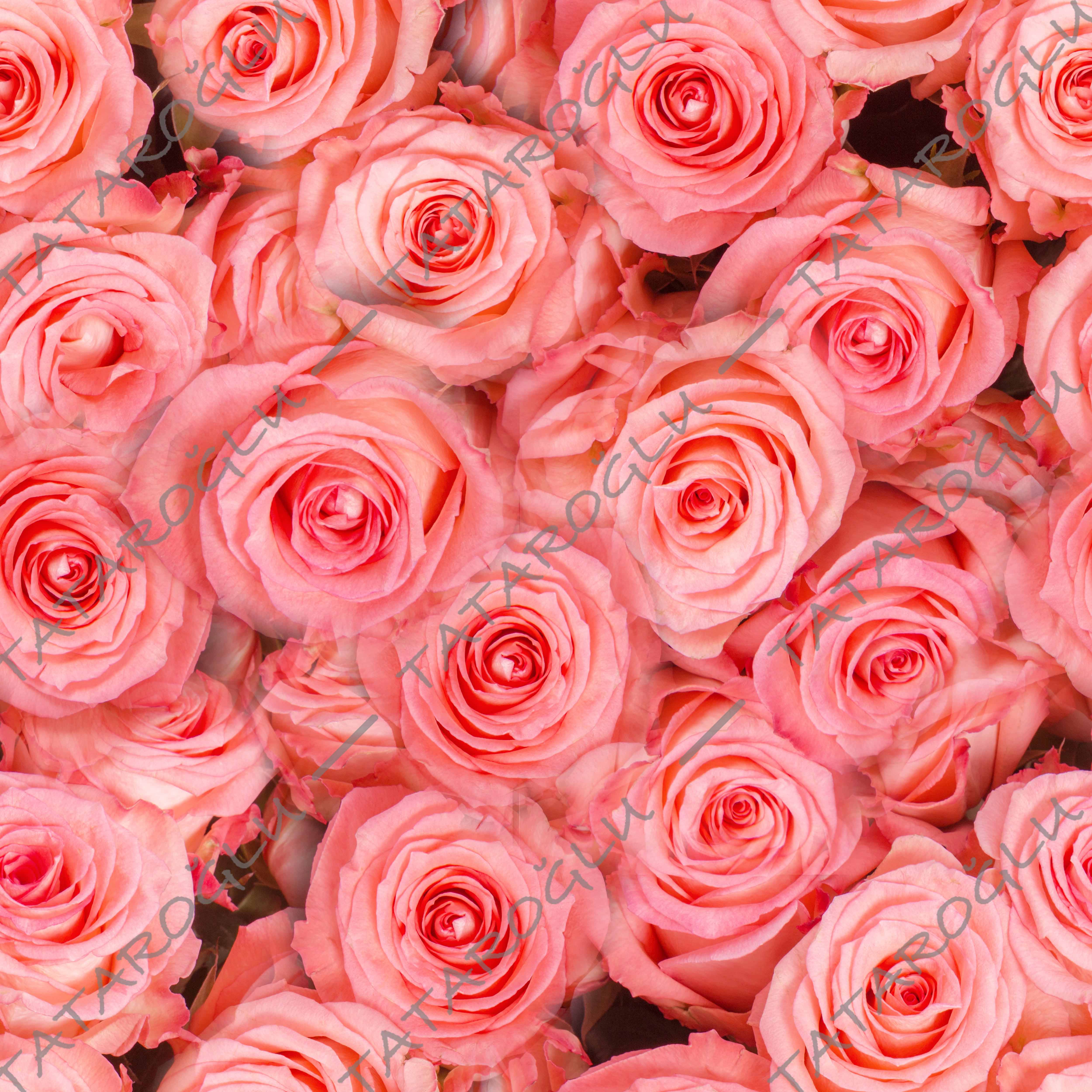 Sevgililer Günü Koleksiyonu-Pembe Gül Desenli Dijital Baskılı Kumaş