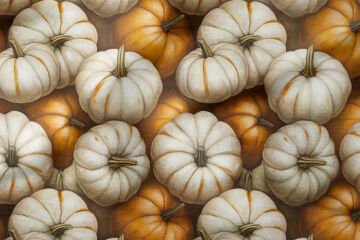 3D Balkabağı Desenli Dijital Baskı Polyester Kumaş – Sonbahar Dekoratif Kumaş