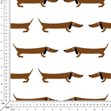 Sevimli Kahverengi Dachshund Köpeği