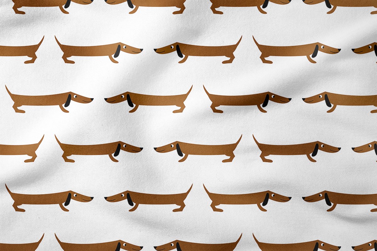 Sevimli Kahverengi Dachshund Köpeği