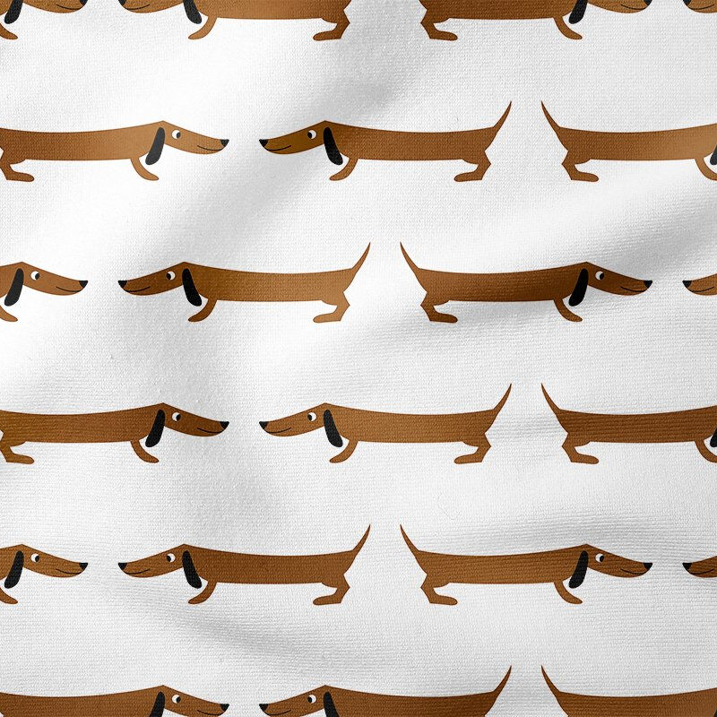 Sevimli Kahverengi Dachshund Köpeği
