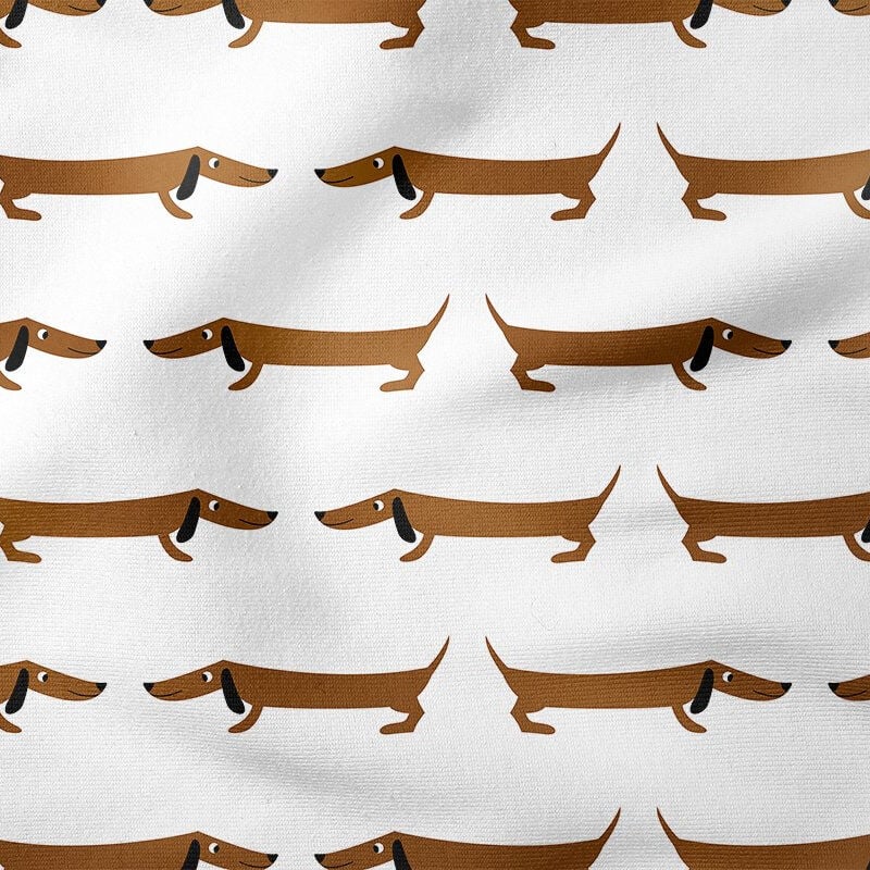 Sevimli Kahverengi Dachshund Köpeği