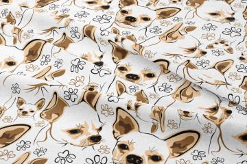 Kahve Tonlu Chihuahua Köpeği