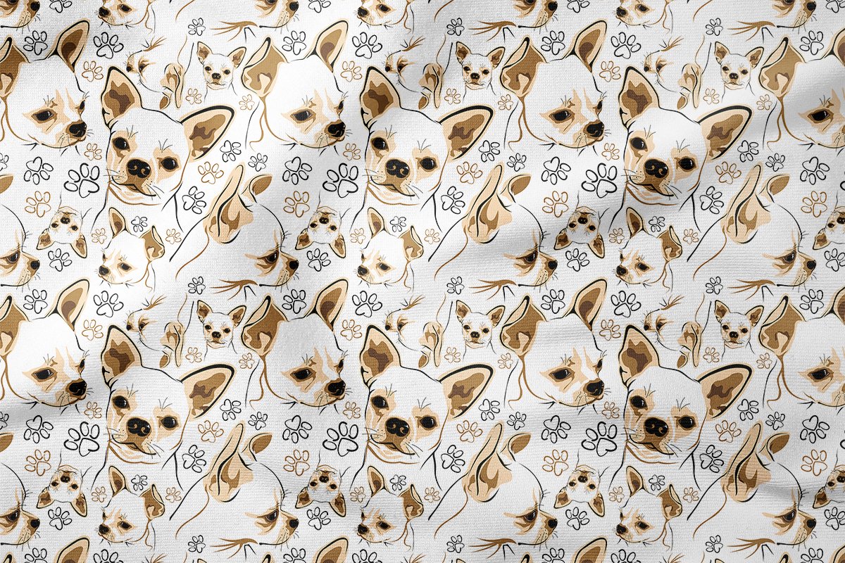 Kahve Tonlu Chihuahua Köpeği