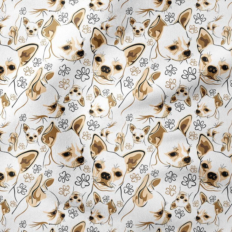 Kahve Tonlu Chihuahua Köpeği
