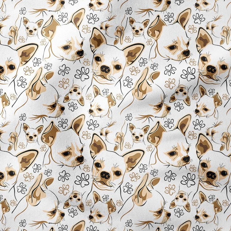 Kahve Tonlu Chihuahua Köpeği