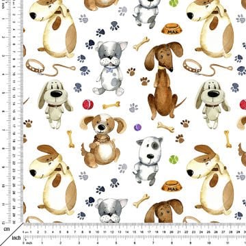 Beyaz Zemin Üzerine Oturan Köpekler